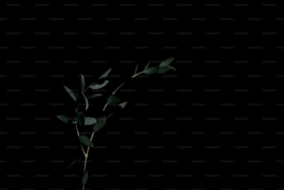 《子夜归》徐凯是干什么的?